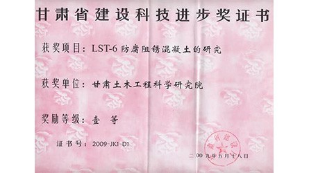 2009甘肅省建設科技進步一等獎